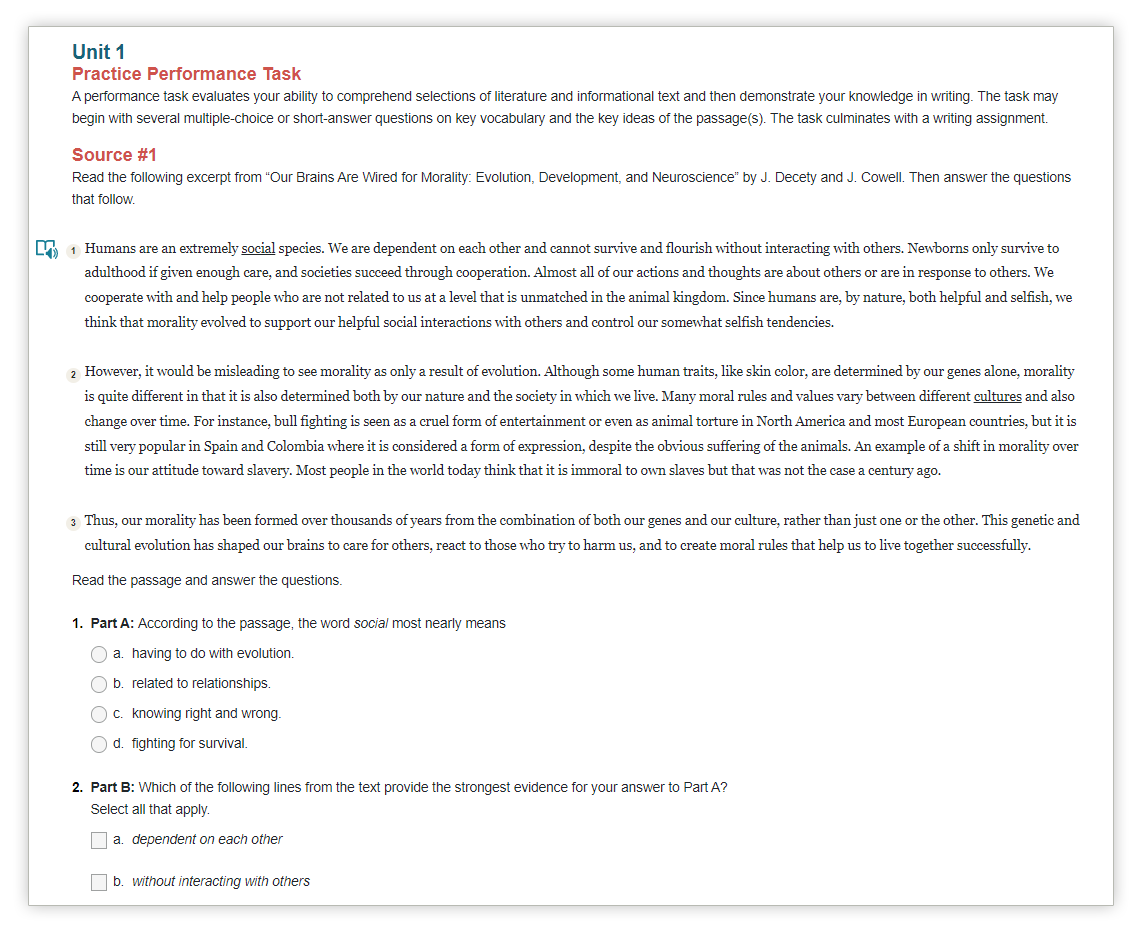 performance task online assessment example